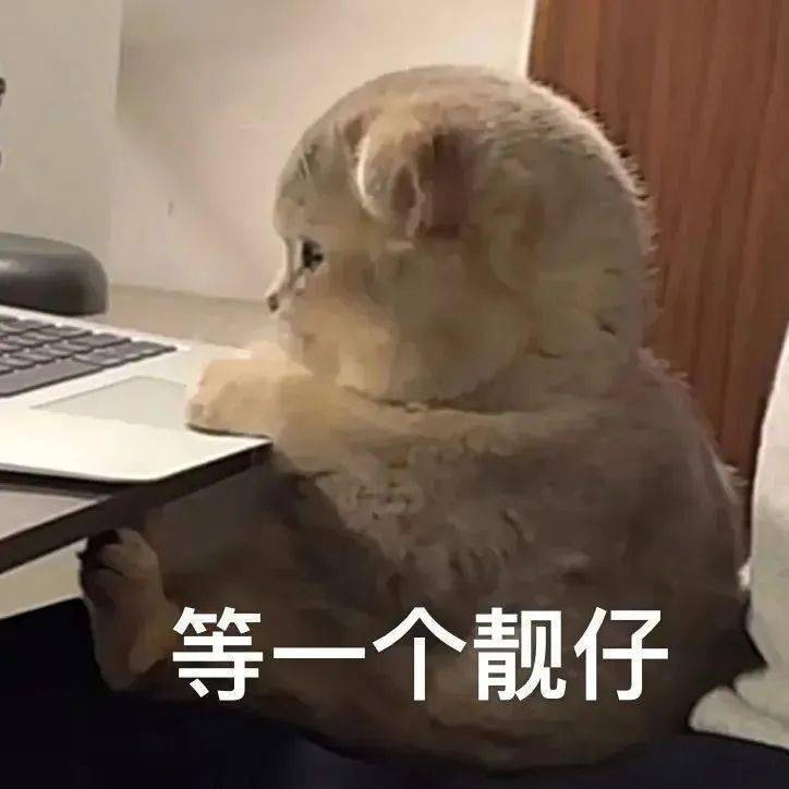 無(wú)線講解器廠家